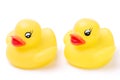 Two Yellow Rubber Ducks