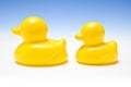 Two yellow rubber ducks Royalty Free Stock Photo