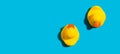 Two yellow rubber ducks Royalty Free Stock Photo