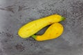 Two yellow summer squash on a gray background Royalty Free Stock Photo