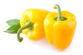 Two yellow sweet pepper Royalty Free Stock Photo