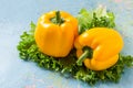 Two yellow sweet pepper and lettuce Royalty Free Stock Photo