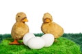 Two yellow toy chicks with three eggs Royalty Free Stock Photo