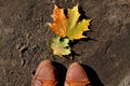 Two yellow woman's shoes