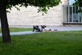 Two young active women doing gymnastics outdoors