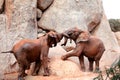 Two young African forest elephants playing at the zoo Royalty Free Stock Photo