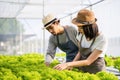 Two young Asian couple farmers working in vegetables hydroponic farm with happiness. Portrait of man and woman farmer checking qua Royalty Free Stock Photo
