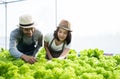 Two young Asian couple farmers working in vegetables hydroponic farm with happiness. Portrait of man and woman farmer checking qua Royalty Free Stock Photo