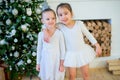 Two young ballet dancer hug near Christmas tree Royalty Free Stock Photo