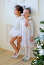 Two young ballet dancer hug near Christmas tree Royalty Free Stock Photo