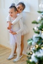 Two young ballet dancer hug near Christmas tree Royalty Free Stock Photo