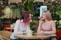 Two young beautiful girls sit in a green cafe at a table. Drink tea with croissants, chatting, laughing and taking Royalty Free Stock Photo
