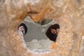 Two young and beautiful witches can be seen through the hole in the roof of a ruined and abandoned building. The women are holding