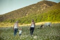 Two young blond lady in jeans and white undervest shirt walking across meadow of daisy chamomile with little girl holding hands we Royalty Free Stock Photo
