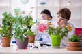 Two young botanist working in the lab