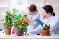Two young botanist working in the lab