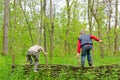 Two young boys playing on a rustic fence Royalty Free Stock Photo