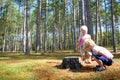 Two Young Children Exploring in Pine Tree Forest