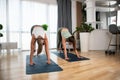 Two young colleagues, roommates, friends or lesbian couple workout yoga together stretching muscles in their apartment as relaxing Royalty Free Stock Photo