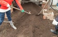 Two young farmer man and woman working in the garden, digging the soil with a shovel Royalty Free Stock Photo