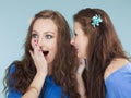 Two young female friends whispering gossip Royalty Free Stock Photo