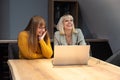 Two young freelance business women teamwork working at home on laptop as product strategy expert. Female expatriate remote work on