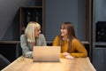 Two young freelance business women teamwork working at home on laptop as product strategy expert. Female expatriate remote work on