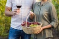 Two young happy vintners holding a basket of grapes and a glass of wine Royalty Free Stock Photo