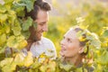 Two young happy vintners looking up from behind grape plants Royalty Free Stock Photo