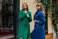 Two young ladies in fur coats posing on background Royalty Free Stock Photo