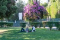 Two young males lying on the green lawn in the park