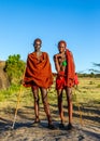 Two young Masai warriors in traditional clothes and weapons are standing in the savannah. Royalty Free Stock Photo