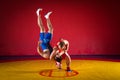 Two young men wrestlers Royalty Free Stock Photo