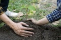 Two young men plowed the soil to plant trees, ready to grow into a large tree in the future, Plants help increase oxygen in the ai