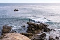 Two young men taking cell phone photos by the ocean