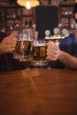Two young men toasting their beer mugs Royalty Free Stock Photo