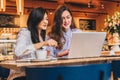 Two young merry businesswomen in shirts sitting in cafe at table and using laptop. Girl is pointing at computer screen Royalty Free Stock Photo