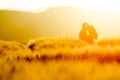 Two young people in love holding hands with shape of heart. Nature scenery, silhouette in rye, wheat field during summer sunrise