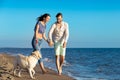 Two young people running on the beach kissing and holding tight with dog Royalty Free Stock Photo