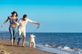 Two young people running on the beach kissing and holding tight with dog Royalty Free Stock Photo