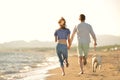 Two young people running on the beach kissing and holding tight with dog Royalty Free Stock Photo