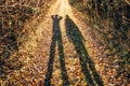 Two young people`s silhouette standing on the forest road