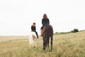 Two young pretty girls riding a horses on a field. They loves animals andhorseback riding Royalty Free Stock Photo