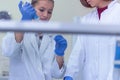 Two Young scientists working  in a laboratory and doing research, microbiological analysis, medicine Royalty Free Stock Photo