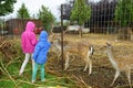 Two young sisters feeding wild deers at a zoo on rainy summer day. Children watching reindeers on a farm