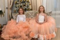 Two young sisters in white with peach dresses Royalty Free Stock Photo