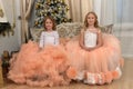 Two young sisters in white with peach dresses Royalty Free Stock Photo