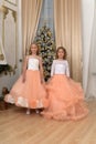 two young sisters in white with peach dresses Royalty Free Stock Photo