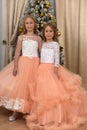 Two young sisters in white with peach dresses Royalty Free Stock Photo