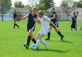 Two young soccer players compete for control of the ball. Royalty Free Stock Photo